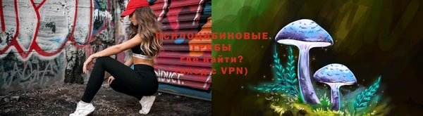 сатива Медвежьегорск