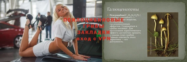сатива Медвежьегорск
