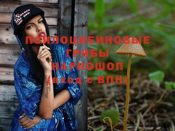 сатива Медвежьегорск