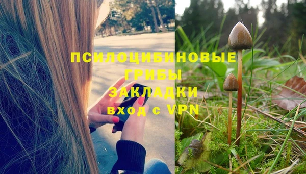 ALPHA-PVP Медногорск