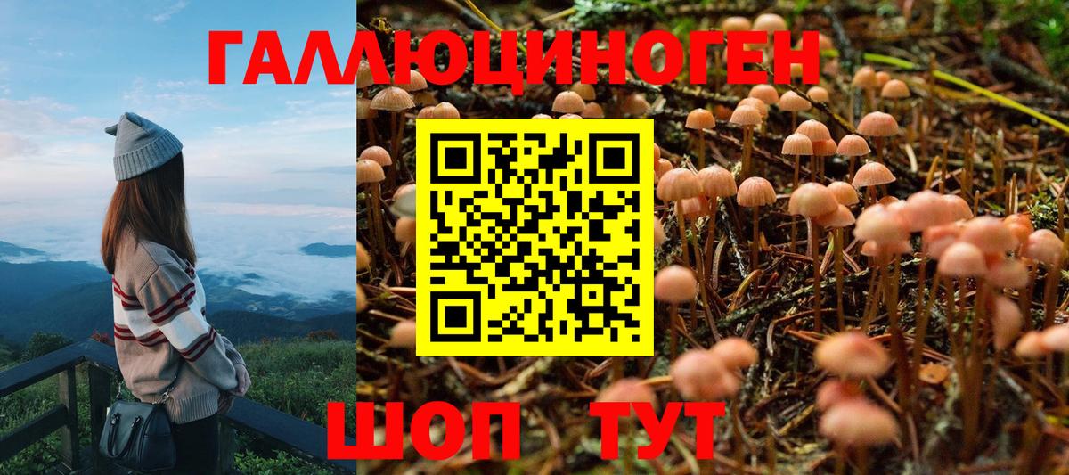 Галлюциногенные грибы MAGIC MUSHROOMS Белово