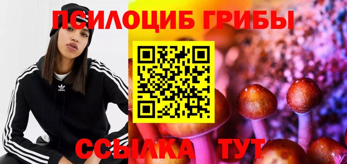 Белово  Галлюциногенные грибы мухоморы  Вход с VPN  Галлюциногенные грибы Psilocybine cubensis 